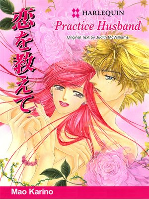 cover image of Practice Husband
